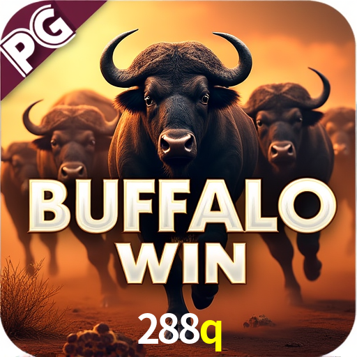 Football Betting 288q